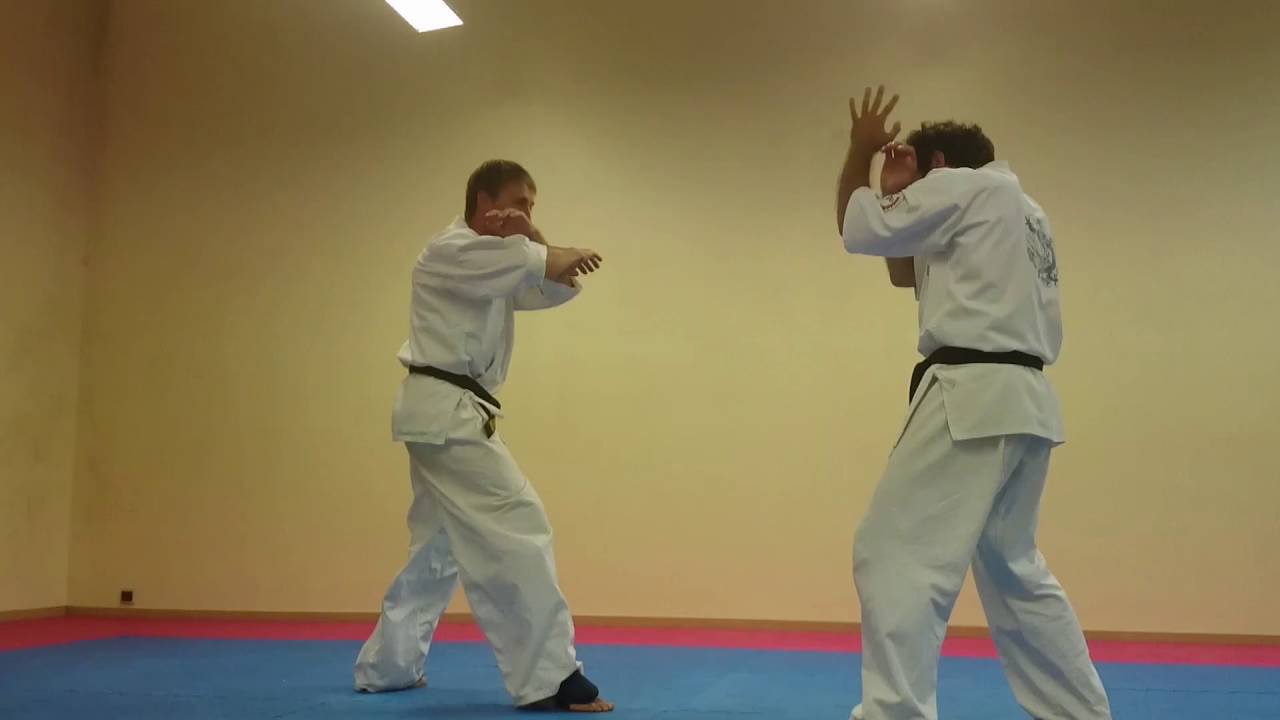 Buddhako, Techniques autorisées (allowed techniques)