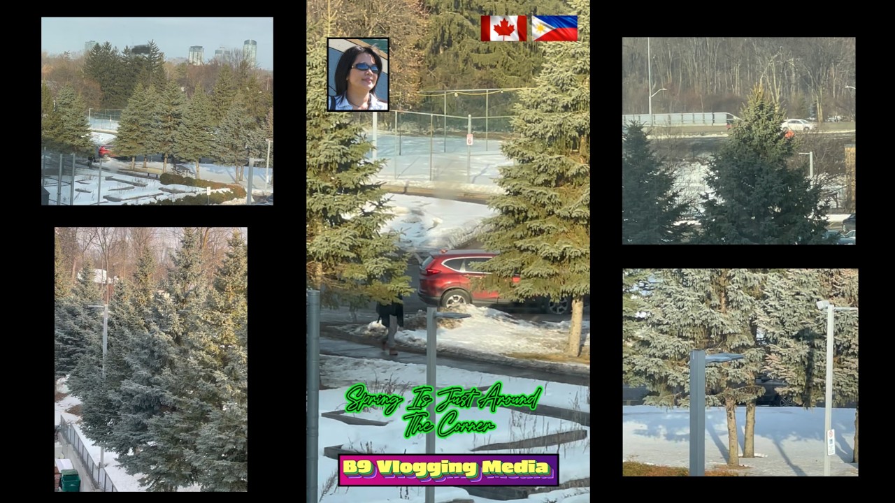 B9 VLOGGING MEDIA IS LIVE: SPRING IS JUST AROUND THE CORNER #WH-UPDATE 03/05/2026. 4K