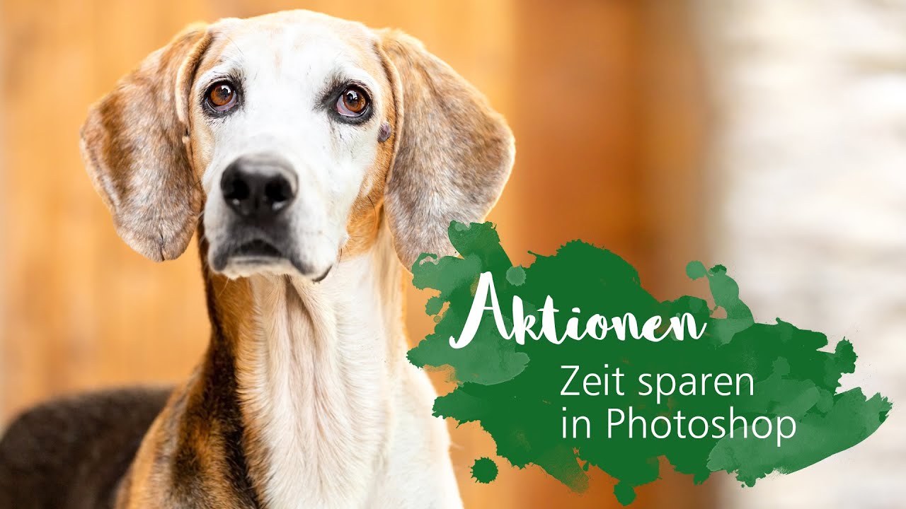 Zeit sparen ⏱ Wie du Aktionen erstellst und die Stapelverarbeitung in Photoshop nutzt