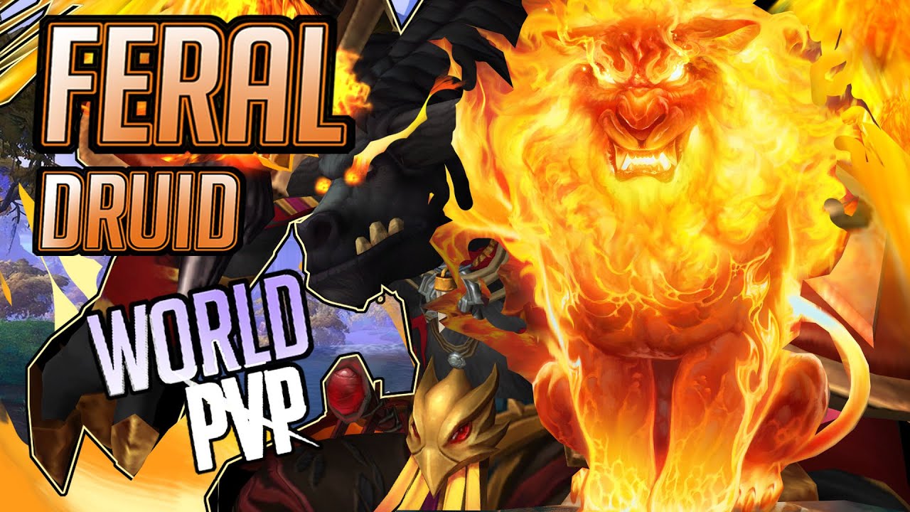 Every where I look There's a Ret Paladin| Feral Druid | WoW Dragonflight PVP