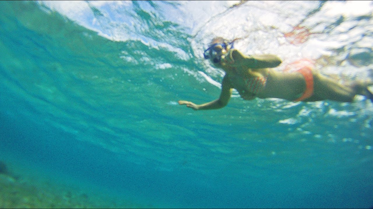 Maui &bull; SNORKELING with sea turtles