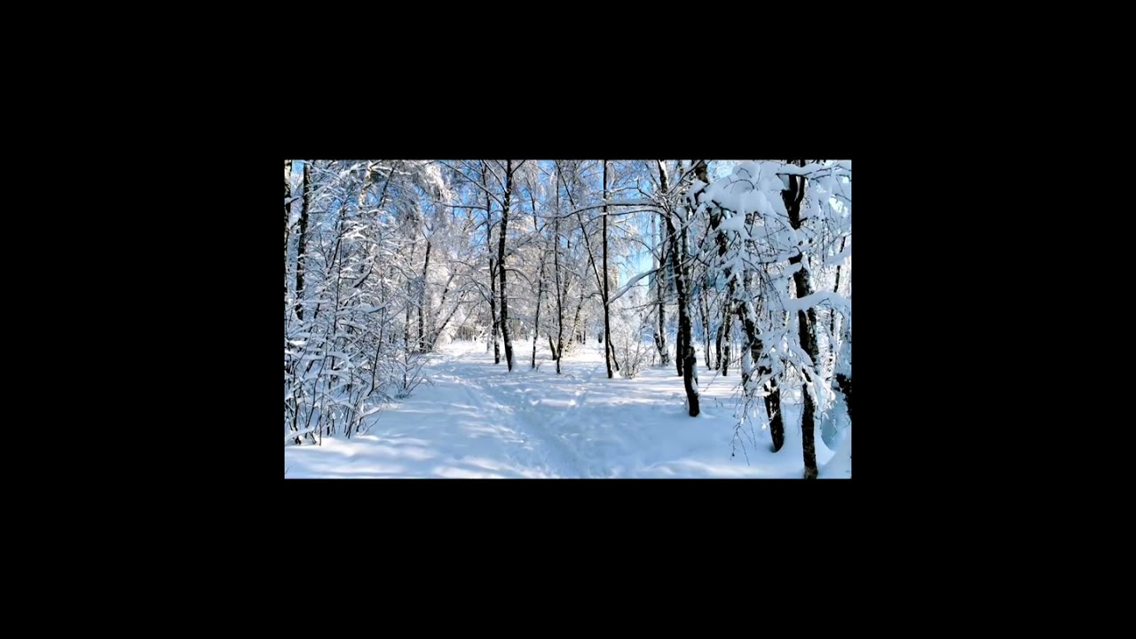 White Winter Hymnal - Kristina Werner (Fleet Foxes Cover) 