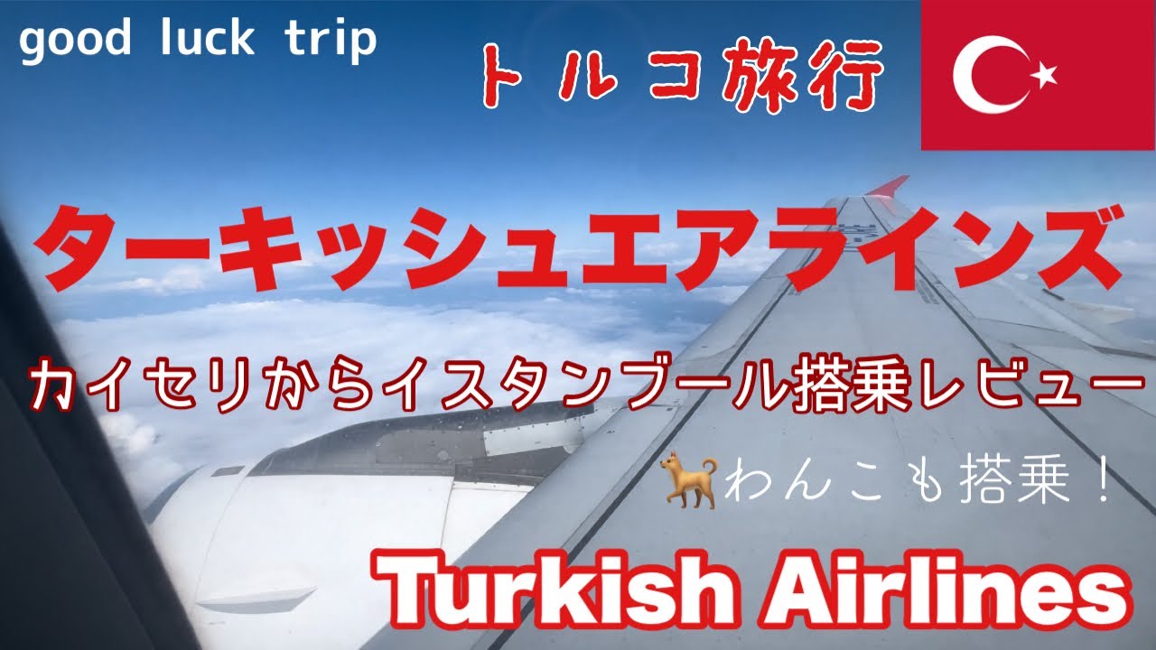 【ターキッシュエアラインズでカイセリ空港からイスタンブール空港まで】🌟トルコ国内線搭乗レビュー