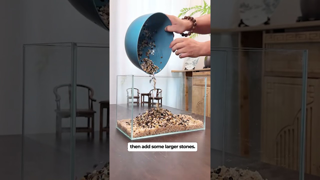 How to build a fish tank