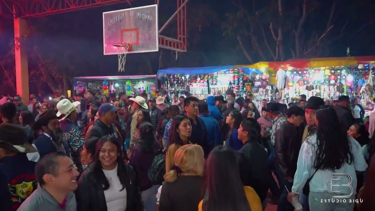 Baile y Castillo De Feria Anual Ayoquezco De Aldama con Banda Nuevos Santa Maria