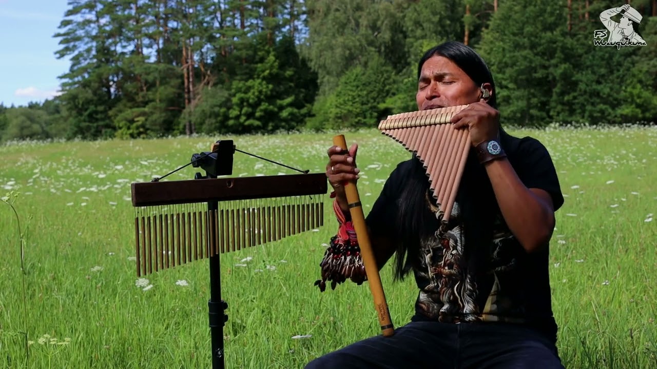 Spirit of Nations - Healing Your Mind #beautiful #instrumental #music #fabianwuauquikuna