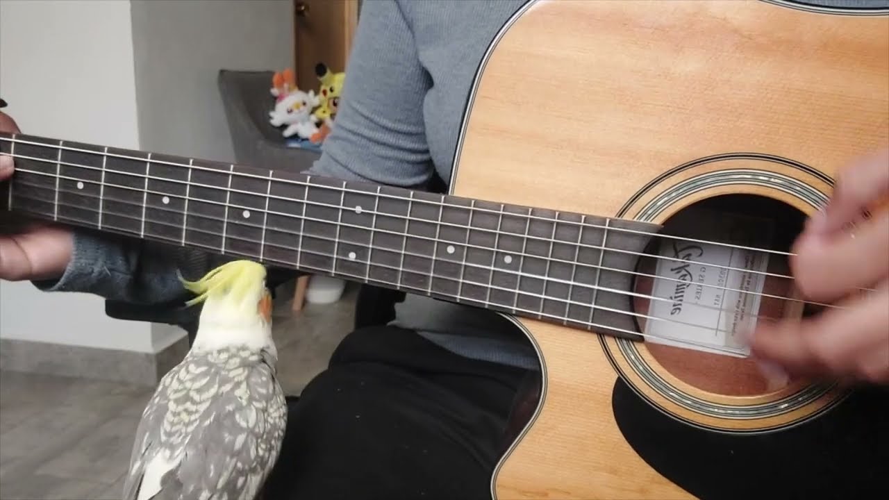 🐉🎆Dragon Ball Ending - Romance te puedo dar - Cover guitarra