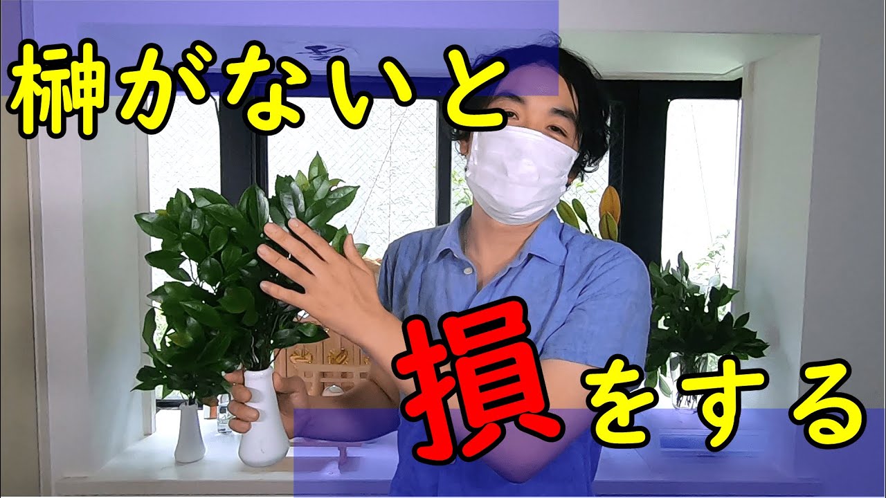 【開運】神棚に榊をいけないと損をする理由
