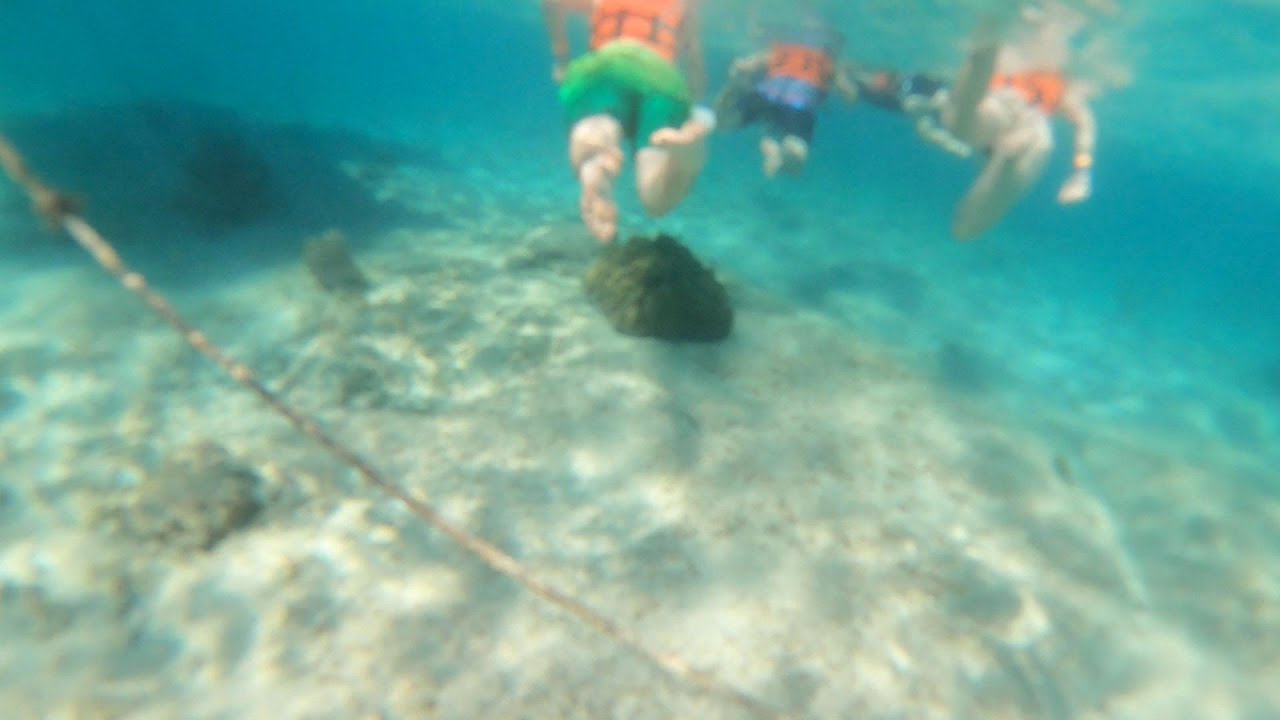 Sandos Playacar Cancun Mexique Janvier 2026