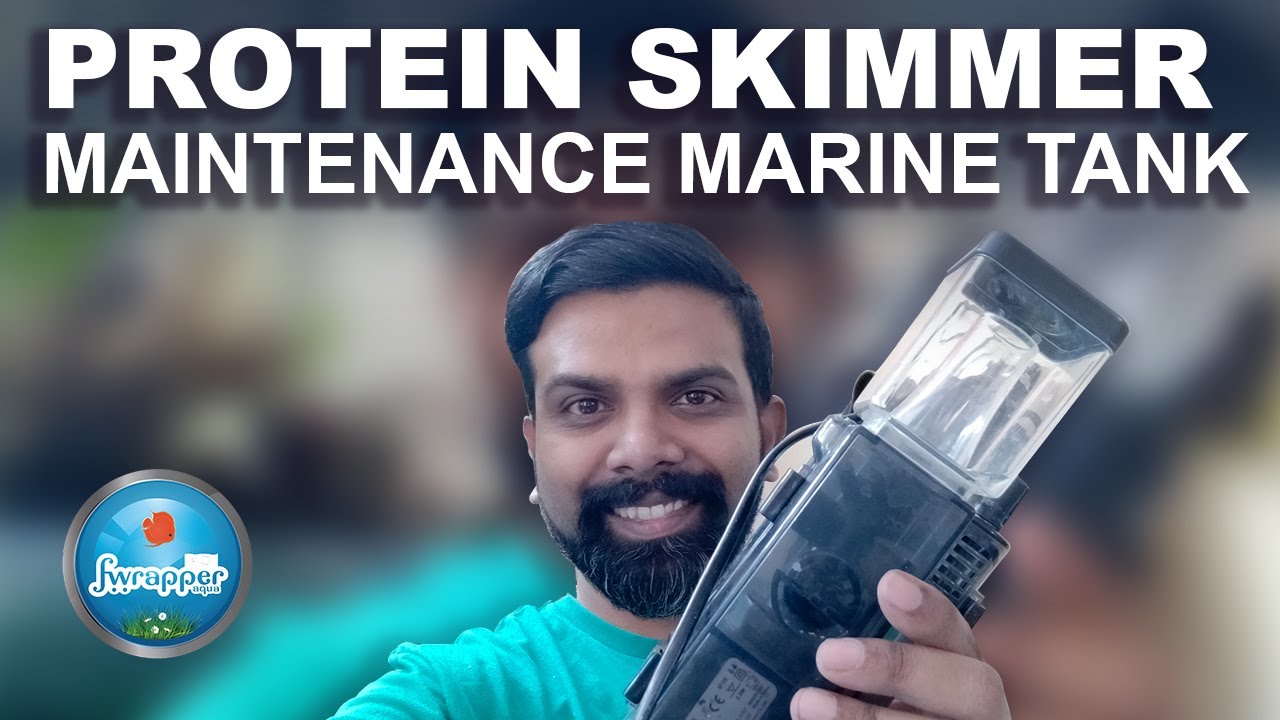 How to clean a Protein Skimmer || Marine Fish Tank