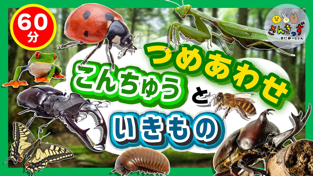 【昆虫いっぱい60分】子供向け 昆虫や生き物の知育動画まとめ★【虫さん 大集合】カブトムシ  クワガタムシ ダンゴムシ