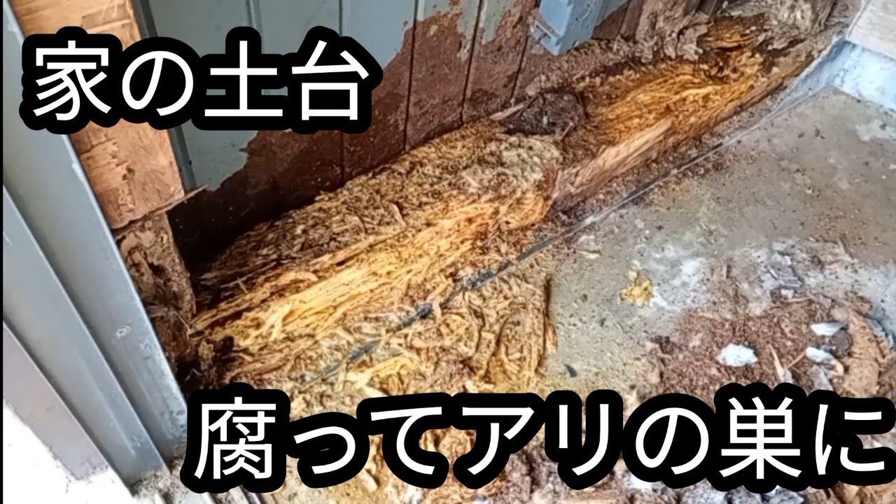 家が壊れていくのはどこから？何のせい？？【ボロ物件移住家族63】