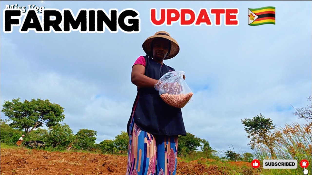 New Idea & Planting | African Village Life In Zimbabwe 🇿🇼 