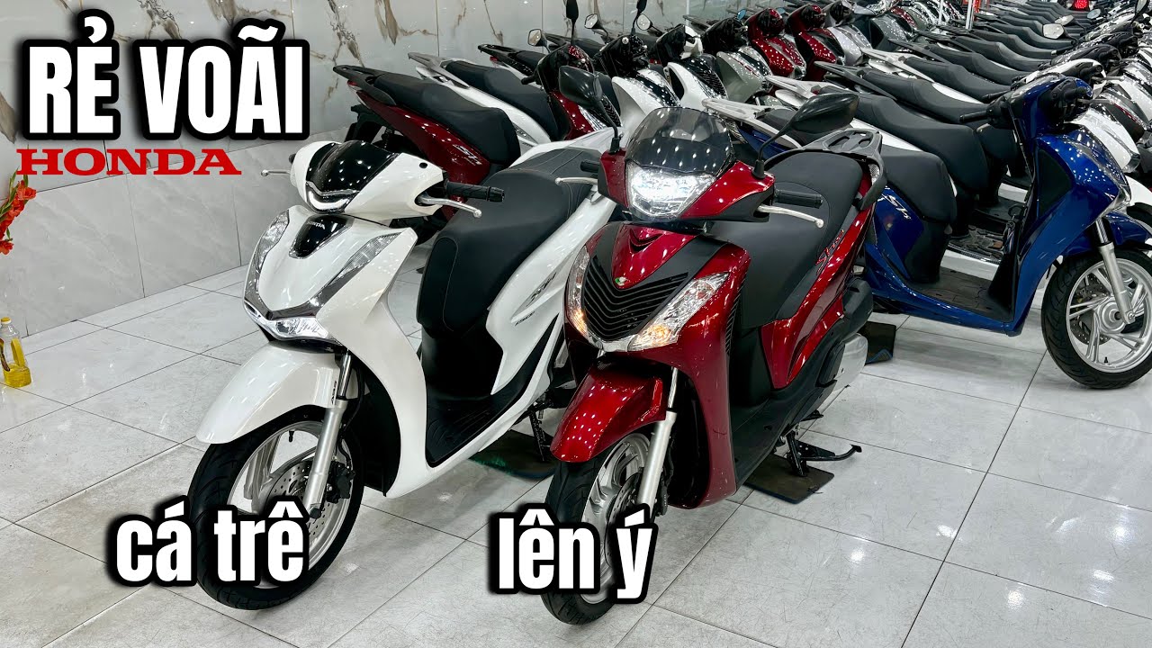HÔM NAY EM SALE SH ÁO Ý SH 160 RẺ ĐẸP