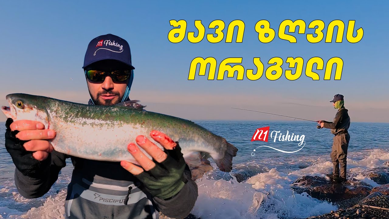 თევზაობა შავი ზღვის ორაგულზე