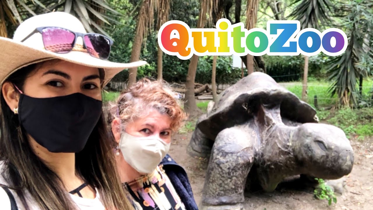CONOCI AL OSO DE ANTEOJOS Y A MILAGROS | QUITO ZOO | #LugaresEspeciales #Iva