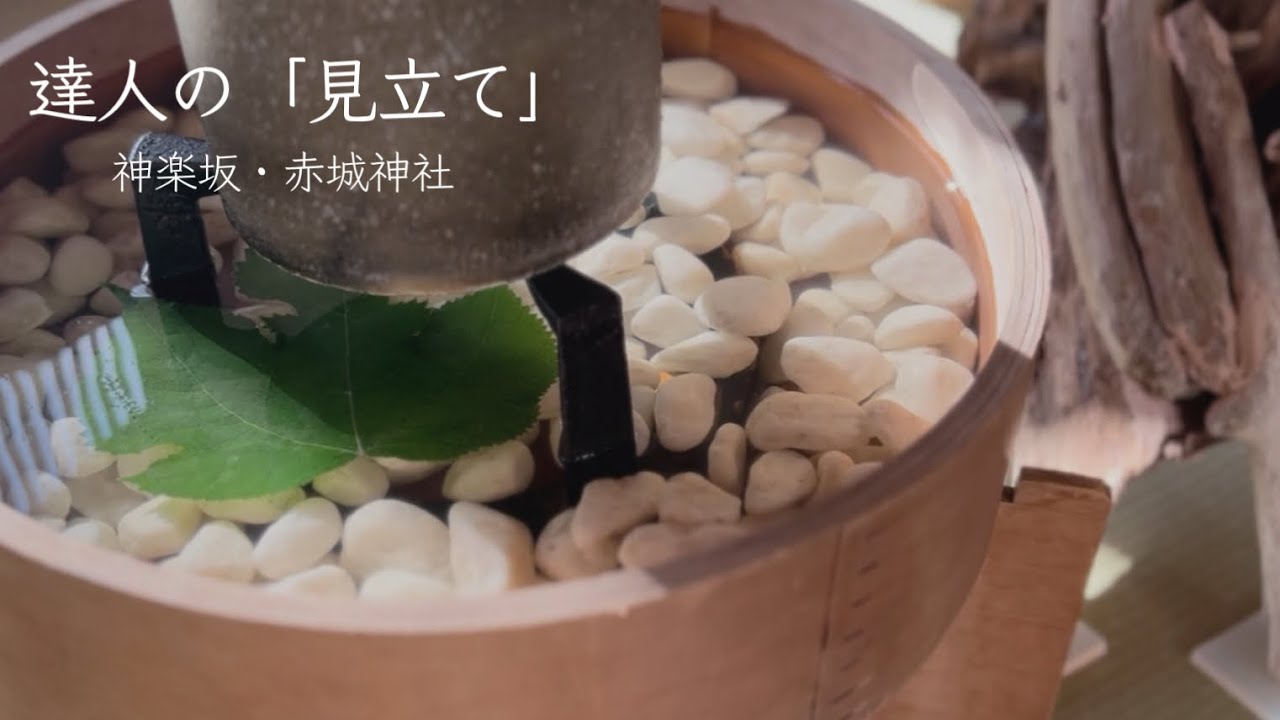 【お茶会】「見立て」が素敵！赤城神社のスケルトン社殿で、七夕茶会🎋 (茶遊人まさよさまー！第111回) #抹茶 #野点 #マインドフルネス  #お茶会