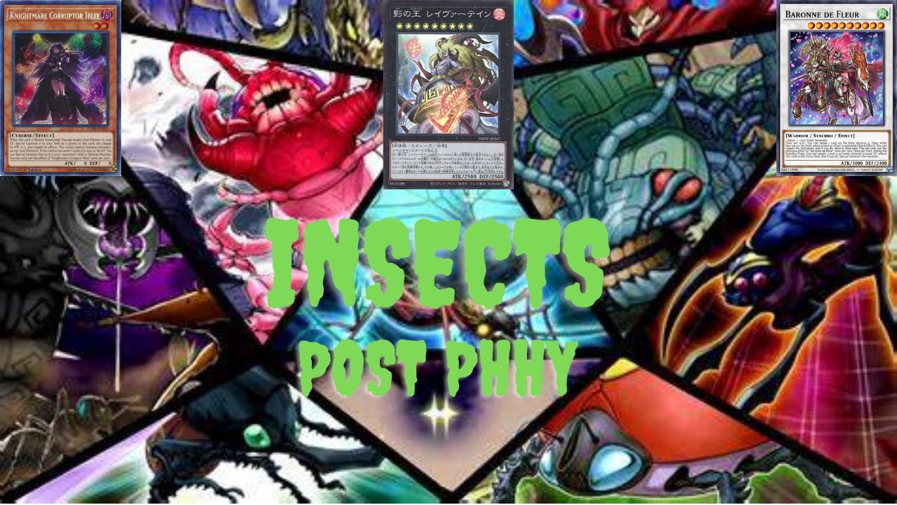 Yu-Gi-Oh insect deck post PHHY 2023/ One card combo with iblee lock