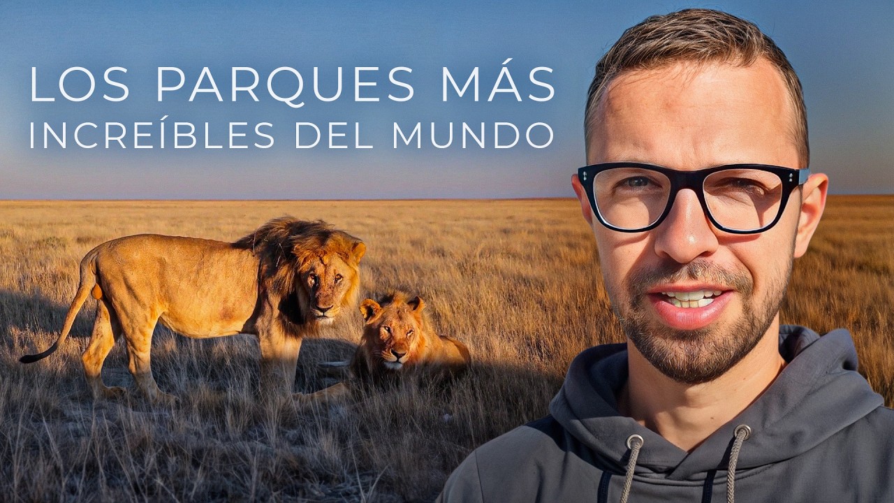 Visité el bosque donde desaparece la gente. Los lugares más insólitos de mis viajes