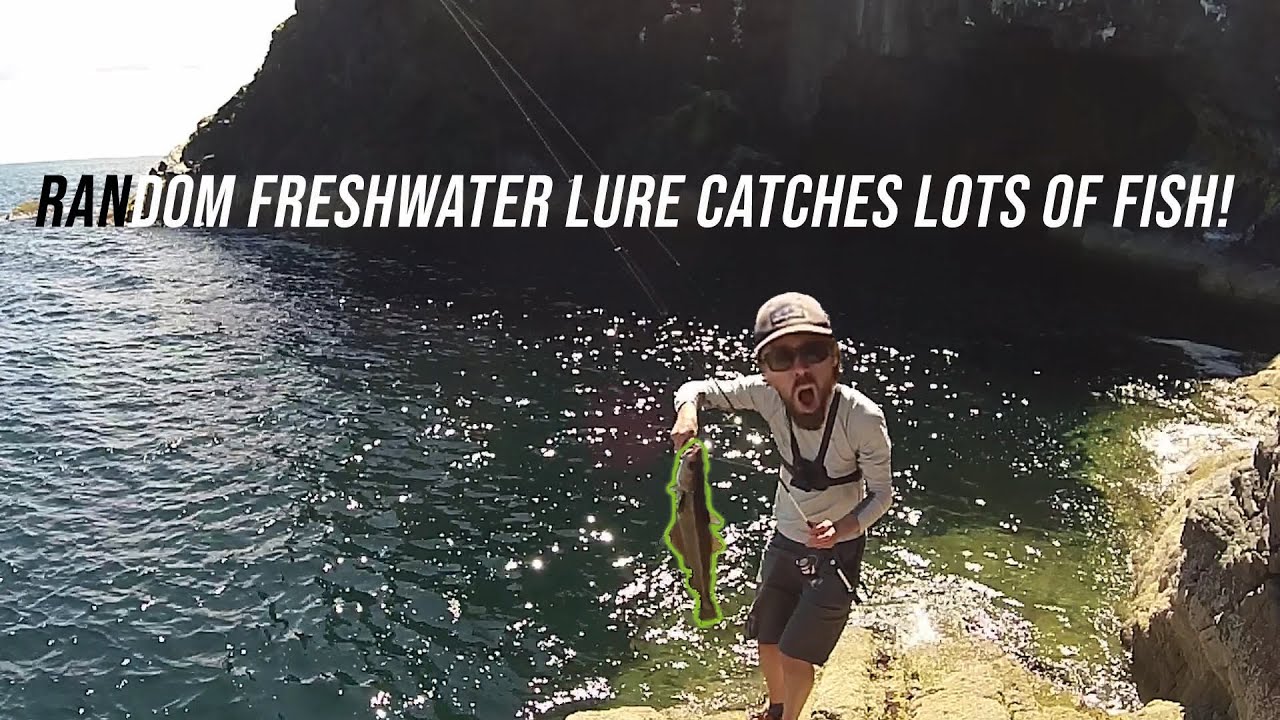 Lure Fishing UK | BIG Fish Using Freshwater Soft Plastics with LRF Set Up.