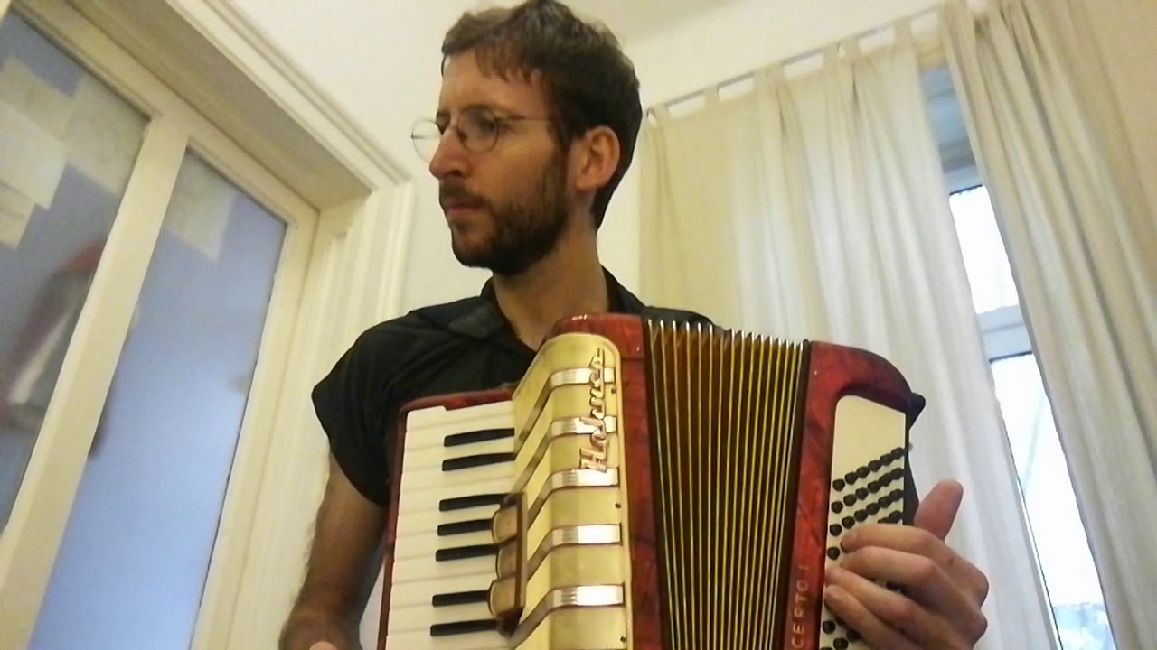 Everybody needs somebody (Blues Brothers) Accordion Cover