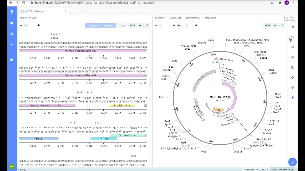 Benchling Restriction Enzyme Digest