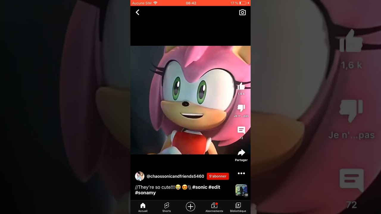 Sonic et Amy 💖💙💖💙💖💙💖💙💖💙💖💙