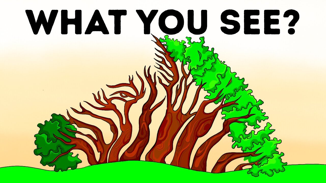 These Pictures Will Help You Know Yourself Better Than Any Test
