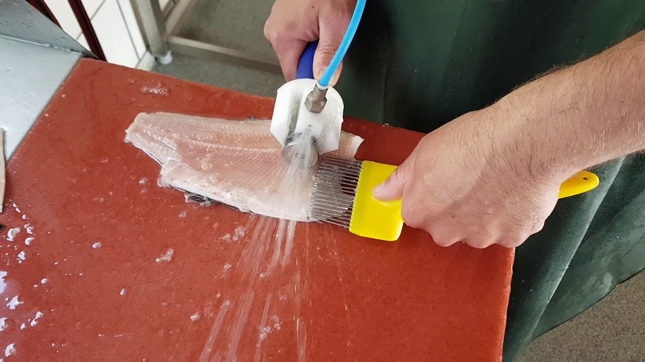 Stehgr&auml;ten ziehen Forellenfilet