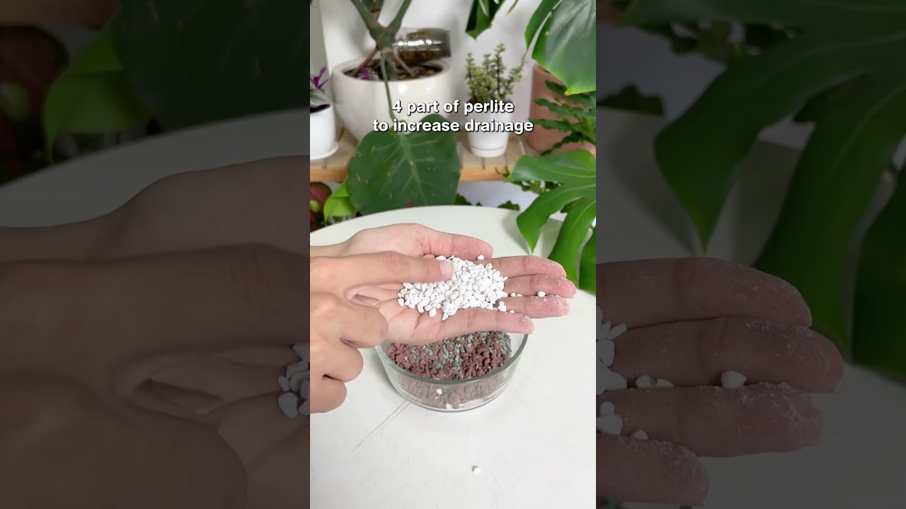 Pon Substrate Recipe for Houseplant #plants #indoorplants