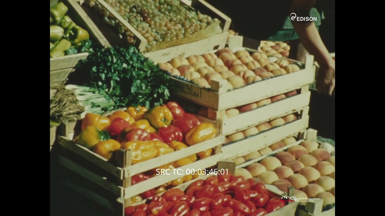 Potassio fattore produttivo (Giovanni Cecchinato, 1960)