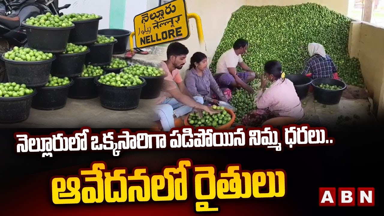 Spotlight : నెల్లూరు లో ఒక్కసారిగా పడిపోయిన నిమ్మ ధరలు | Lemon Pricess Suddenly Dropped In Nellore