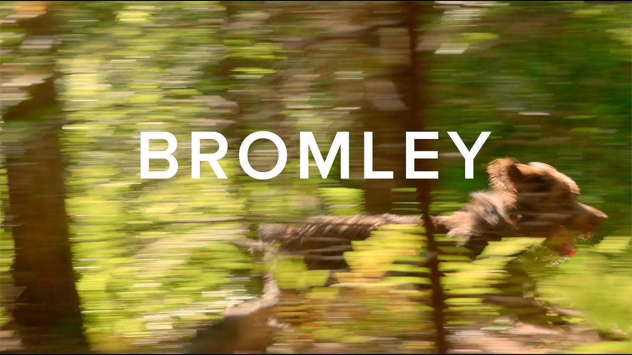 ORVIS Presents: BROMLEY