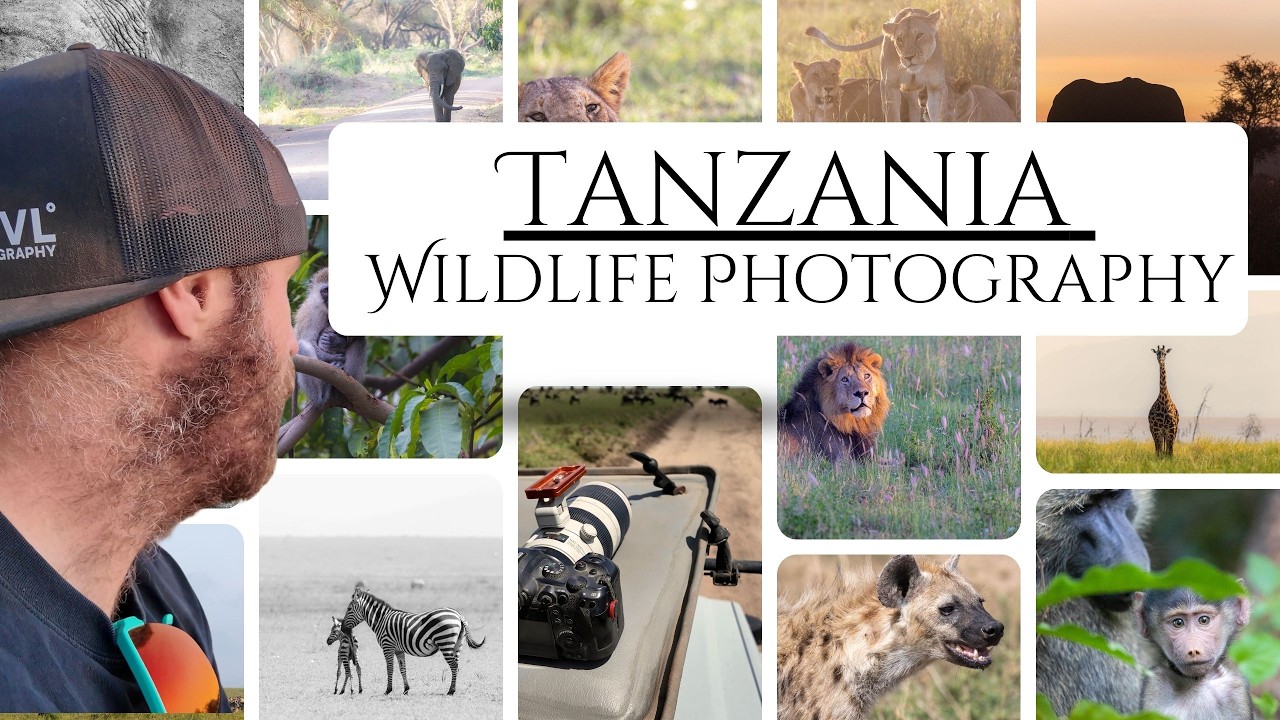 Wildlife Photography on Safari in Tanzania: Serengeti and Lake Manyara