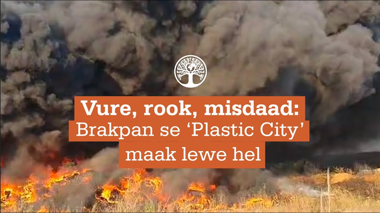Vure, rook, misdaad: Brakpan se ‘Plastic City’ maak lewe hel