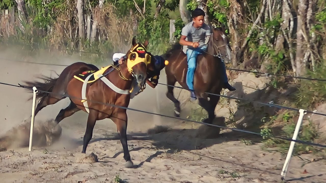 DESAFIOS - Corrida de cavalos - ASTEK vs ZAIA / SHOW DO MILHÃO vs DANONE