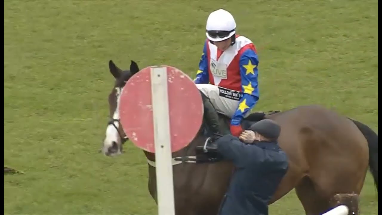 JOCKEY MISJUDGED  THE 12TH FENCE ...BOTH THE JOCKEY AND THE HORSE FELL TO THE GROUND