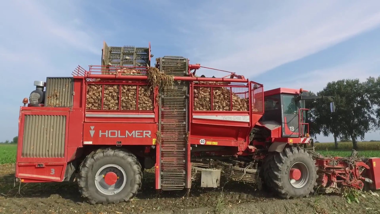 HOLMER Terra Dos T3