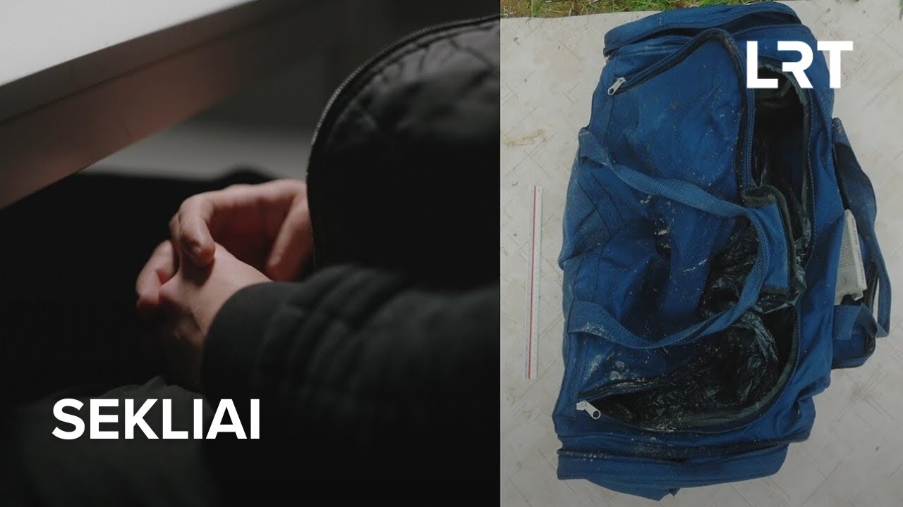 Sekliai. Tvarką grupuotės viduje palaikė žiauriais metodais: tyrimas, išardęs „Kamuolinių“ gaują