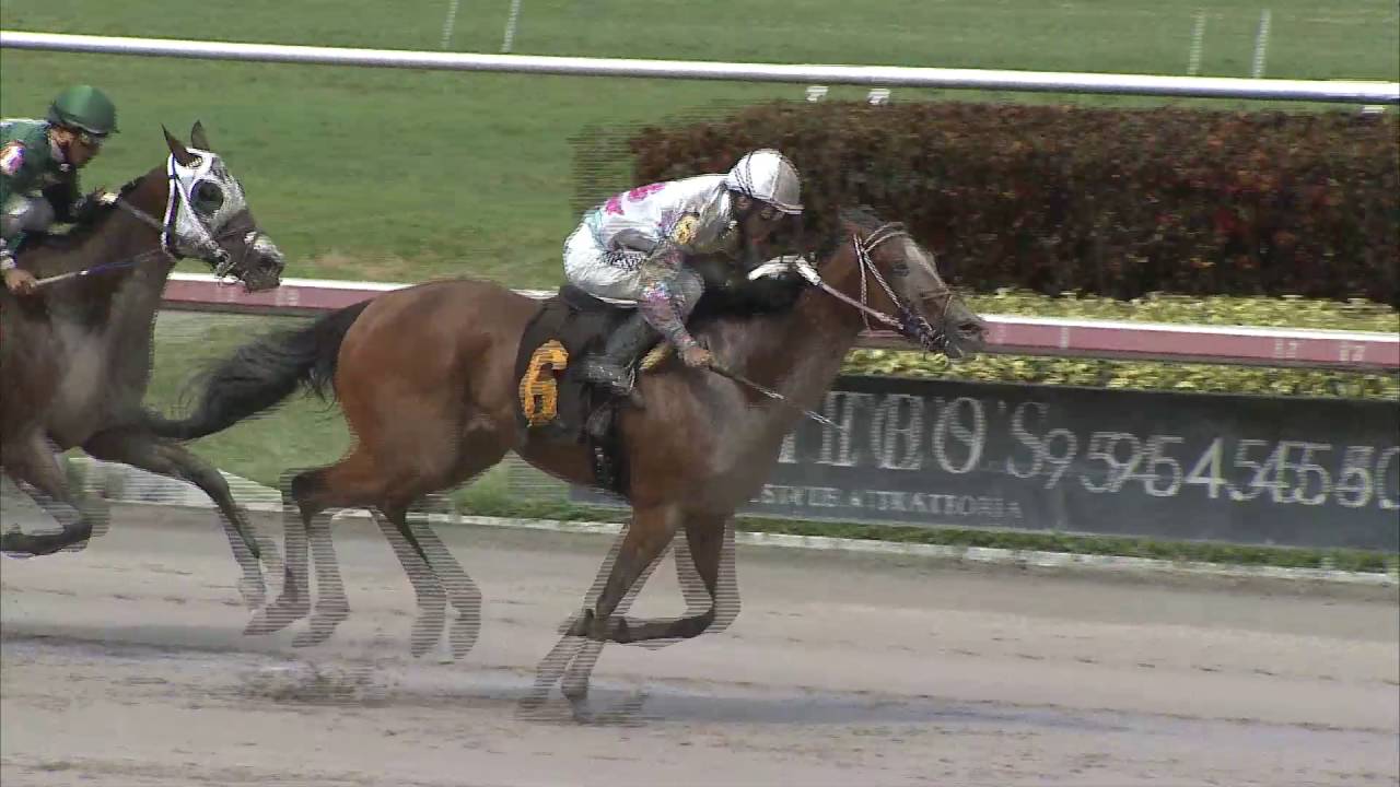 Gulfstream Park Replay Show | July 1, 2016