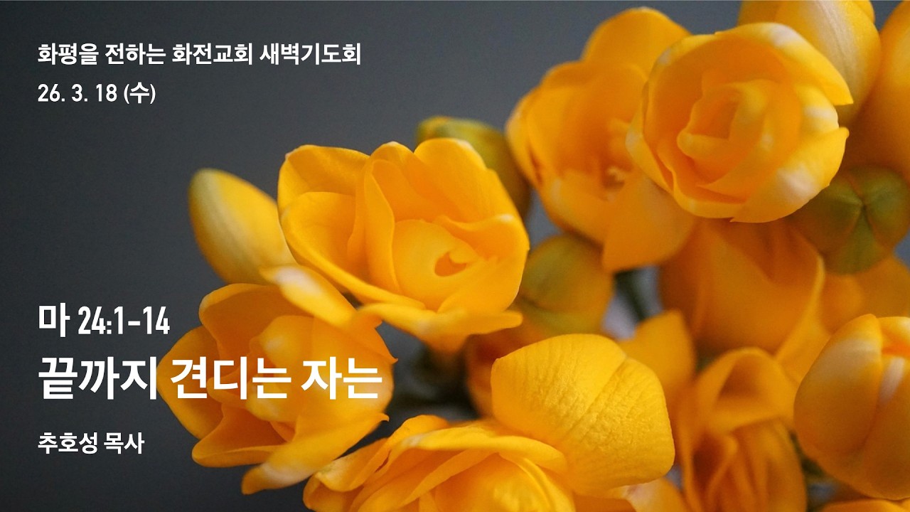 새벽기도회 _ 세상에 화평을 전하는 화전교회 (26.3.18 수)
