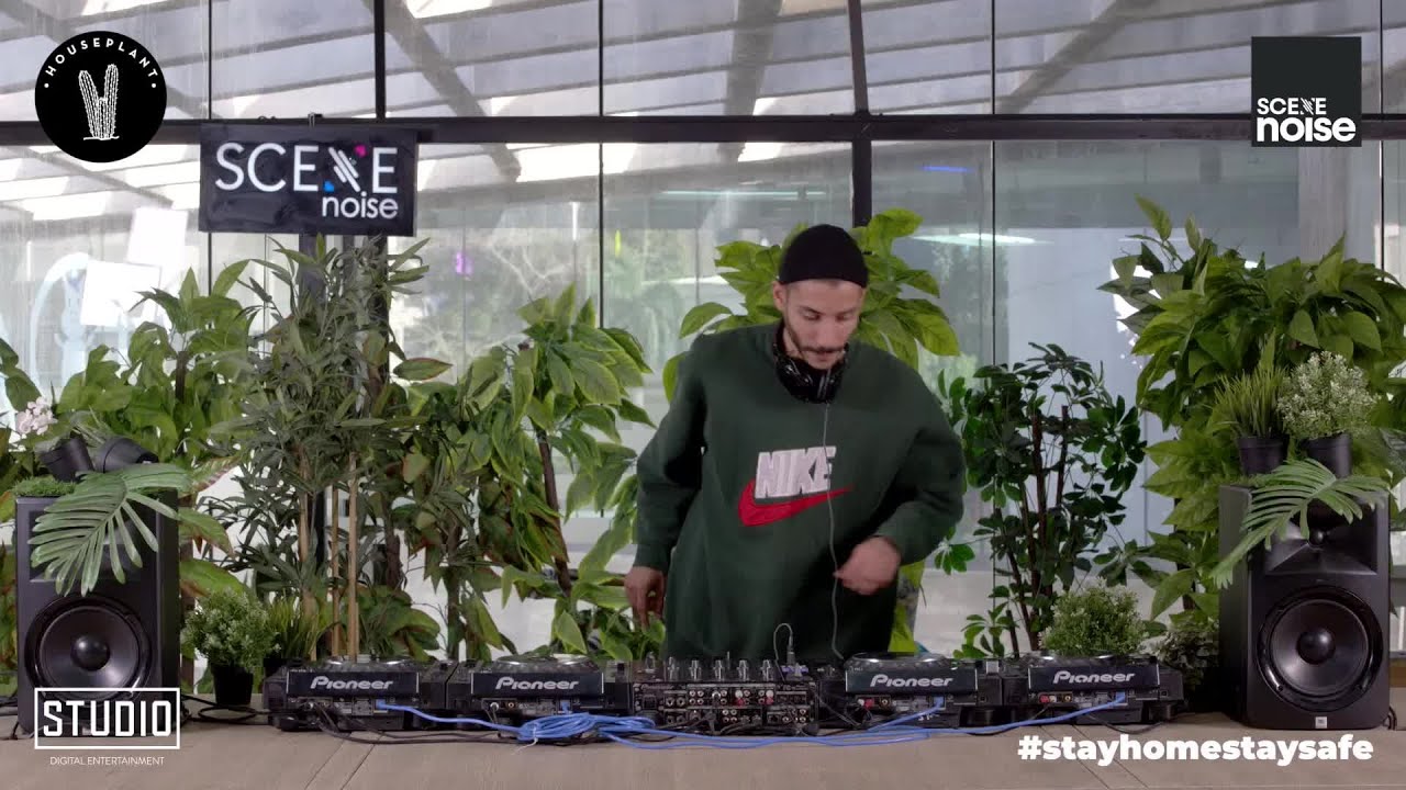 Osman - Houseplant 017 (All Day Series)