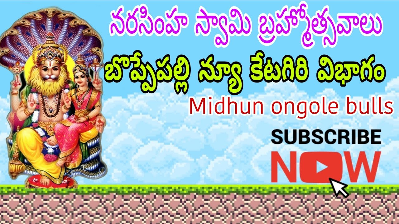 బొప్పేపల్లి న్యూ క్యాటగిరి విభాగంలో నంద్యాల విశాంతవర్ధన్ రెడ్డి& నరసింహారెడ్డి గారు