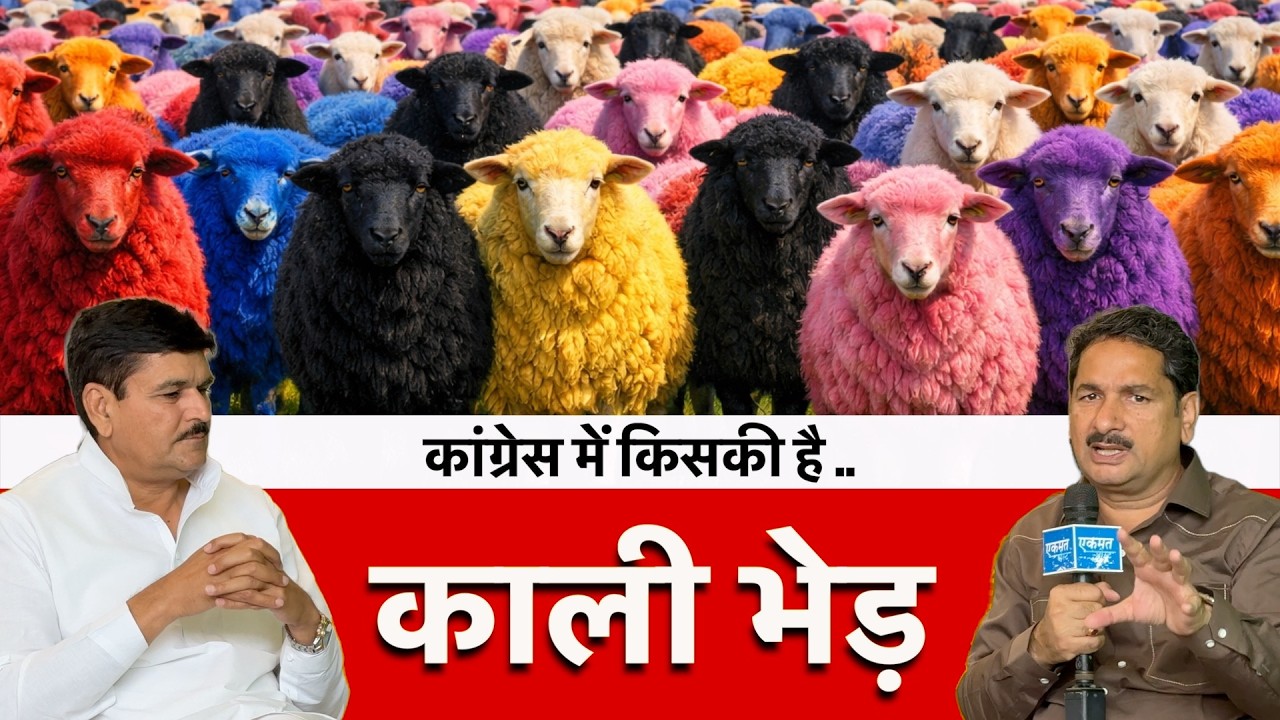 कांग्रेस में किसकी है काली भेड़ | इनेलो ने हुड्डा को दिया करारा जवाब | INLD | RajyaSabha Chunaav |