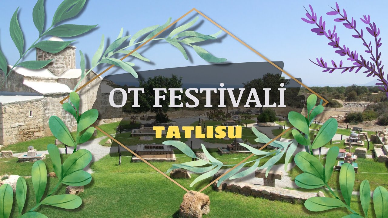 TATLISU OT FESTİVALİ
