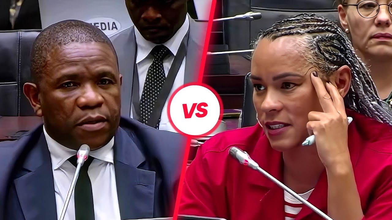 EFF MP Leigh-Ann Mathys Grills General Nhlanhla Mkhwanazi at the Ad Hoc committee 