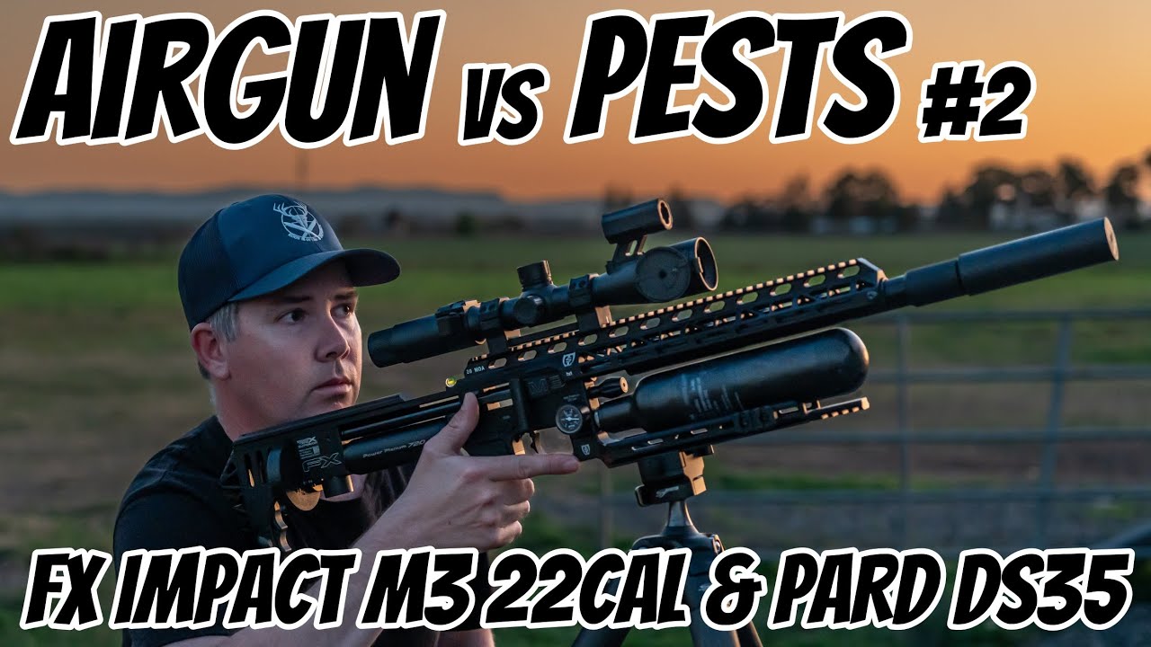 FX Impact M3 Pest Control || .22 Calibre AirGun Hunting || Pigeon and Indian Myna Bird Shooting