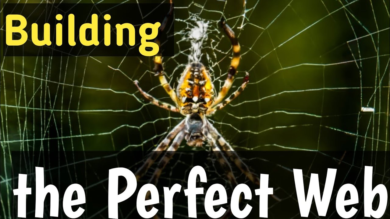 Building the Perfect Web IIbest niches to make money on youtube#youtubeusa