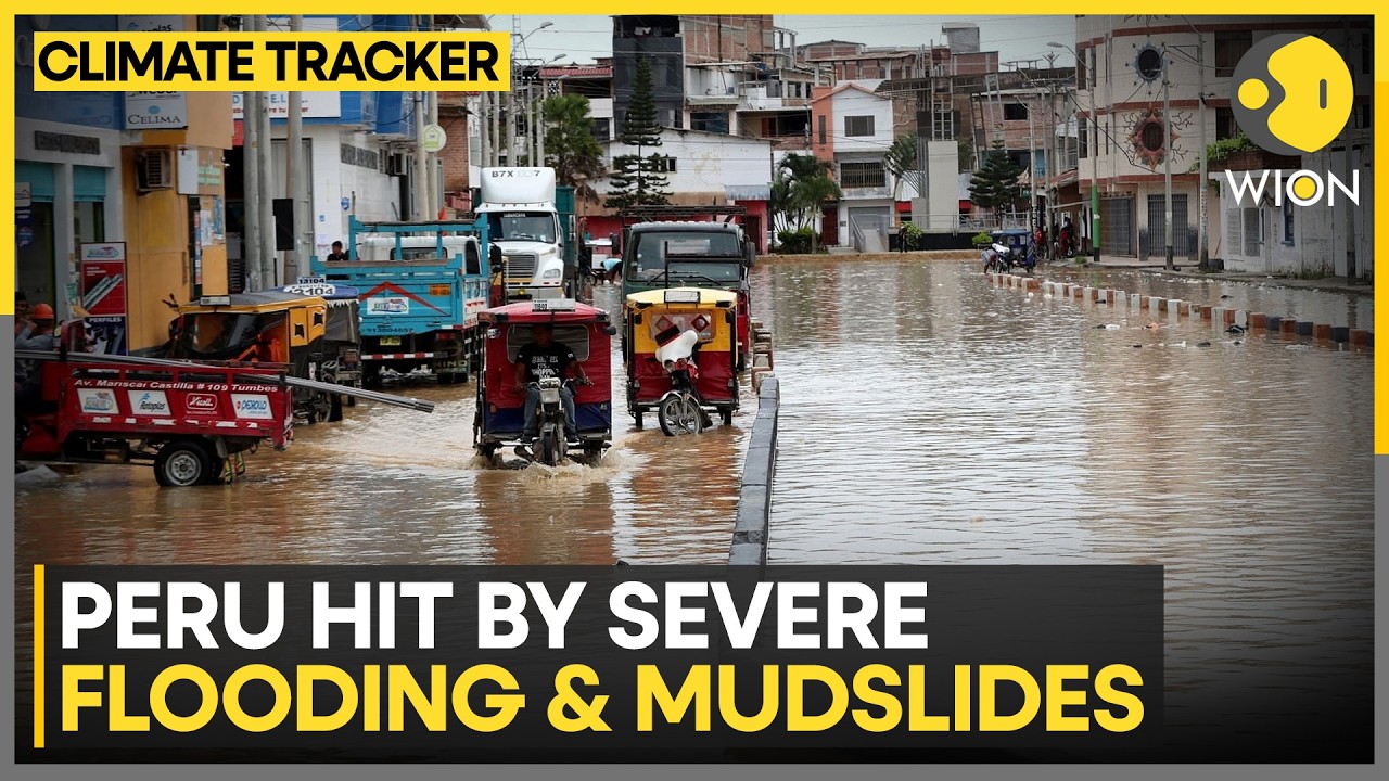 Peru: Deadly Mudslides Ravage Peru After Heavy Rain | WION Climate Tracker