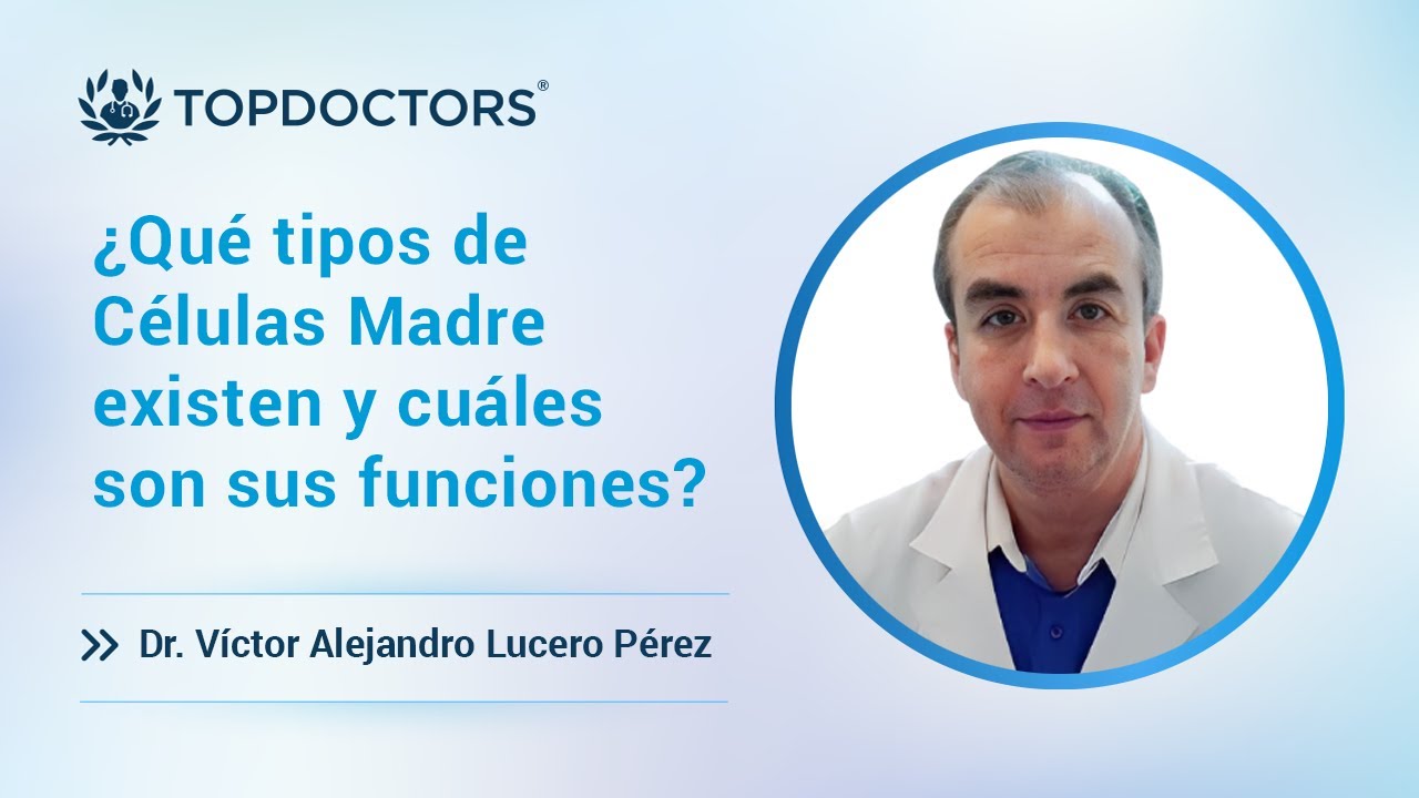 ¿Qué tipos de Células Madre existen y cuáles son sus funciones?